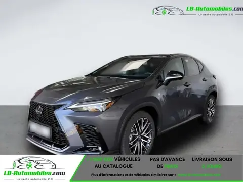 Annonce LEXUS NX Hybride 2023 d'occasion 