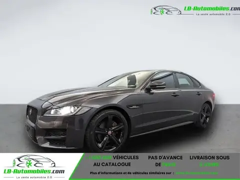 Used JAGUAR XF Diesel 2019 Ad 