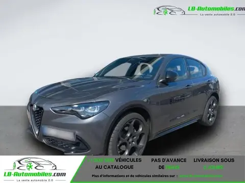 Annonce ALFA ROMEO STELVIO Diesel 2024 d'occasion 