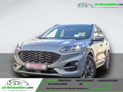 Annonce FORD KUGA Hybride 2022 d'occasion 