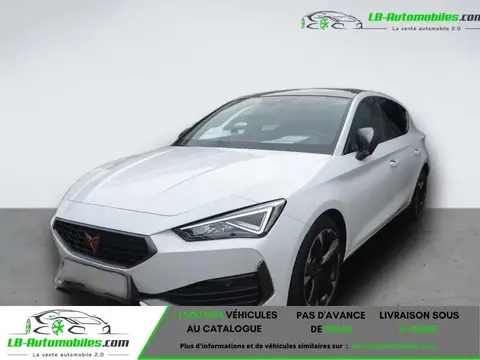 Used CUPRA LEON Diesel 2023 Ad 