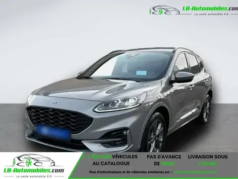 Annonce FORD KUGA Essence 2022 d'occasion 