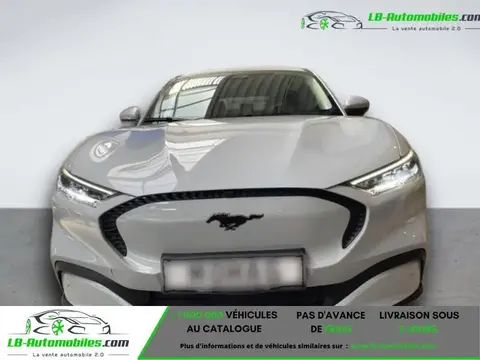 Used FORD MUSTANG Petrol 2023 Ad 