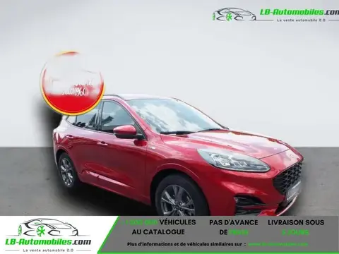 Annonce FORD KUGA Essence 2020 d'occasion 