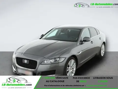 Used JAGUAR XF Diesel 2016 Ad 