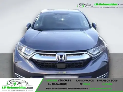 Used HONDA CR-V Petrol 2023 Ad 