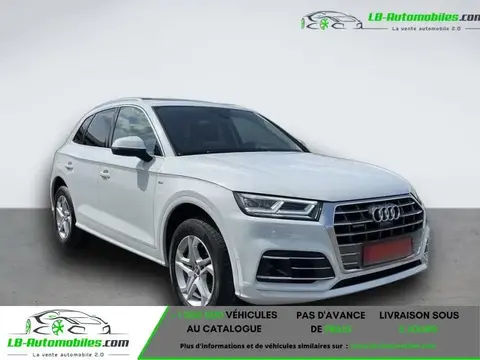 Used AUDI Q5 Diesel 2019 Ad 