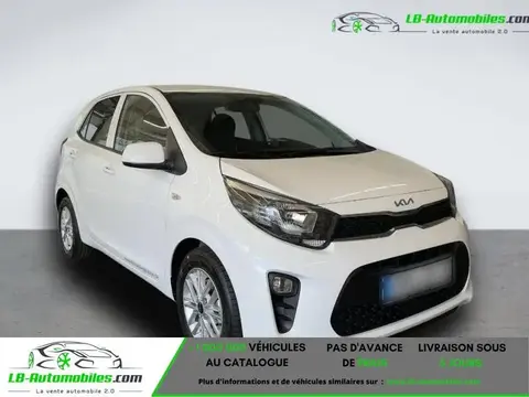 Used KIA PICANTO Petrol 2024 Ad 