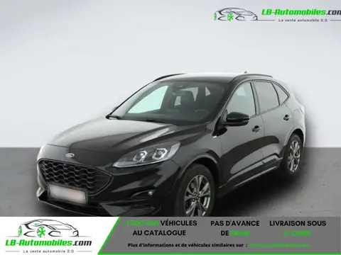 Annonce FORD KUGA Diesel 2020 d'occasion 