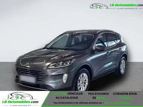 Annonce FORD KUGA Hybride 2022 d'occasion 