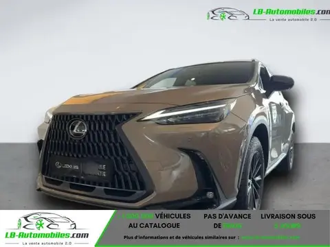 Used LEXUS NX Hybrid 2024 Ad 