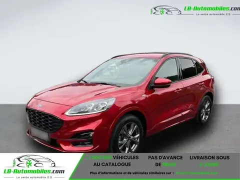 Annonce FORD KUGA Essence 2020 d'occasion 