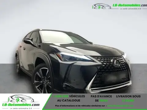 Annonce LEXUS UX Hybride 2023 d'occasion 