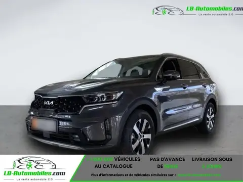 Annonce KIA SORENTO Diesel 2023 d'occasion 