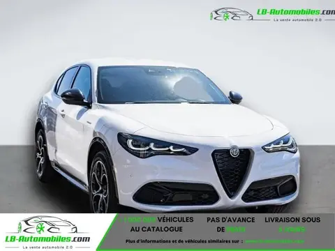 Annonce ALFA ROMEO STELVIO Essence 2023 d'occasion 