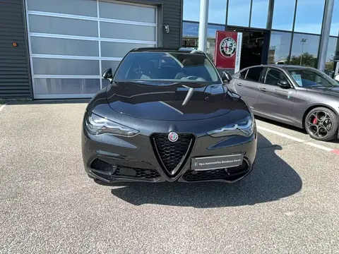 Annonce ALFA ROMEO STELVIO Diesel 2024 d'occasion 