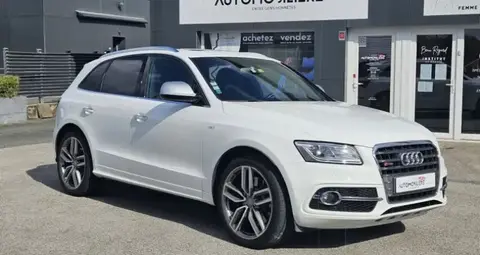 Annonce AUDI SQ5 Diesel 2015 d'occasion 