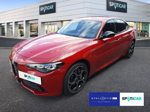 Annonce ALFA ROMEO GIULIA Essence 2024 d'occasion 