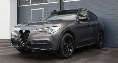 Used ALFA ROMEO STELVIO Petrol 2020 Ad 