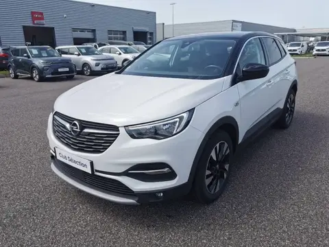 Used OPEL GRANDLAND Diesel 2019 Ad 