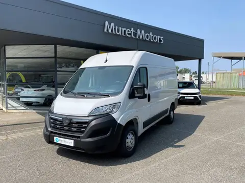 Annonce OPEL MOVANO Diesel 2024 d'occasion 