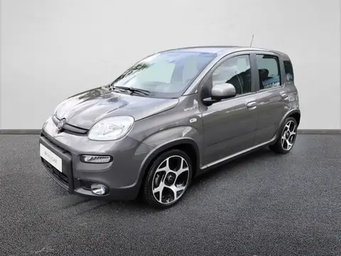 Used FIAT PANDA Petrol 2021 Ad 