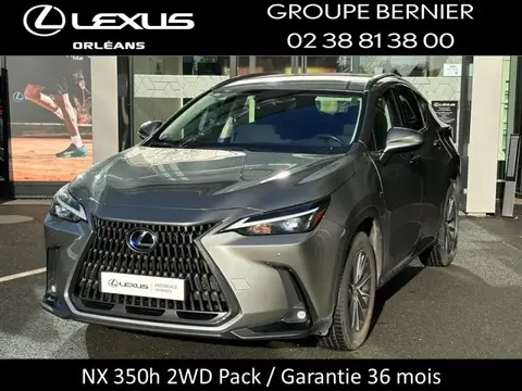 Used LEXUS NX Petrol 2022 Ad 