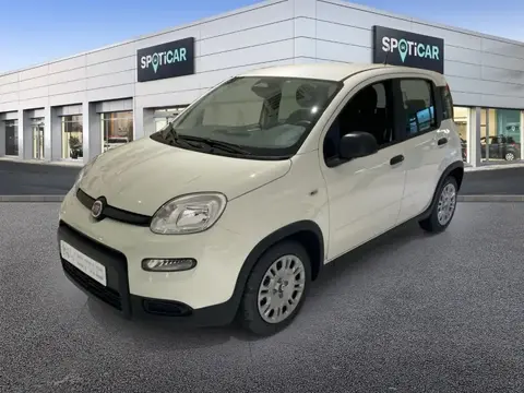 Annonce FIAT PANDA Essence 2024 d'occasion 