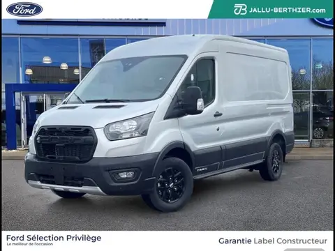 Annonce FORD TRANSIT Diesel 2024 d'occasion 