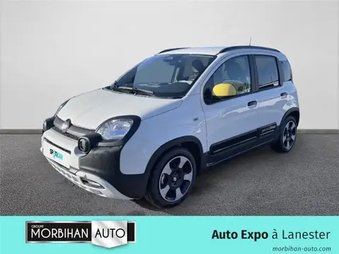 Annonce FIAT PANDA Essence 2024 d'occasion 