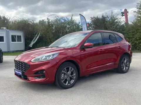 Annonce FORD KUGA Hybride 2020 d'occasion 