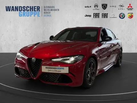 Used ALFA ROMEO GIULIA Petrol 2023 Ad 