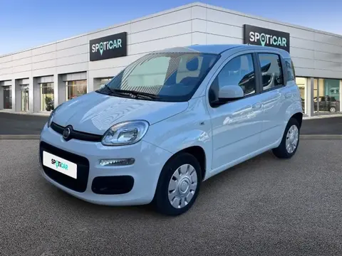 Used FIAT PANDA Petrol 2020 Ad 