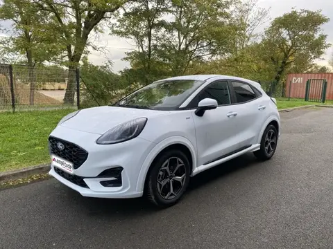 Used FORD PUMA Hybrid 2024 Ad 