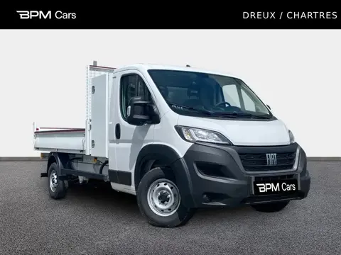 Annonce FIAT DUCATO Diesel 2024 d'occasion 