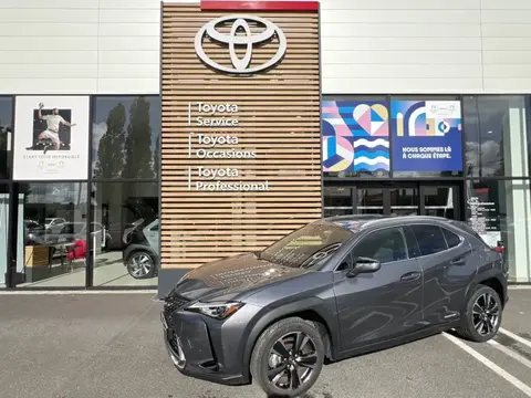 Used LEXUS UX Petrol 2021 Ad 