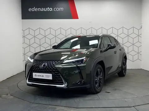 Annonce LEXUS UX Hybride 2024 d'occasion 