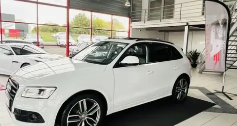 Annonce AUDI SQ5 Diesel 2015 d'occasion 