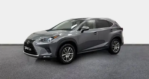 Used LEXUS NX Hybrid 2020 Ad 