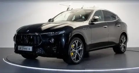 Used MASERATI LEVANTE Diesel 2019 Ad 