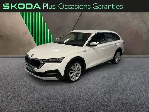 Used SKODA OCTAVIA Diesel 2021 Ad 