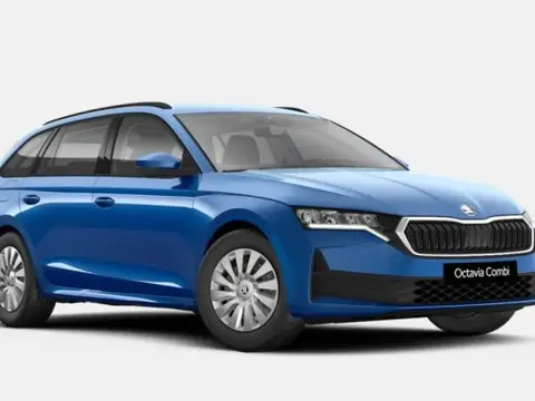 Annonce SKODA OCTAVIA Essence 2024 d'occasion 