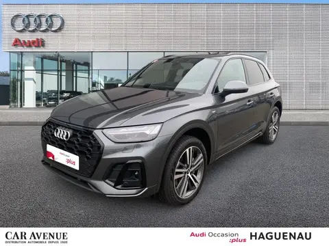 Used AUDI Q5 Petrol 2024 Ad 