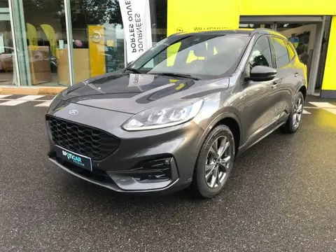 Used FORD KUGA Hybrid 2022 Ad 