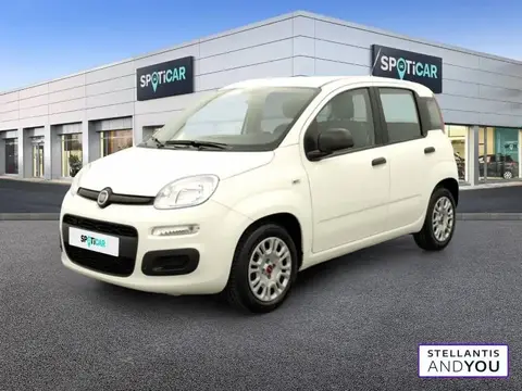 Annonce FIAT PANDA Essence 2022 d'occasion 