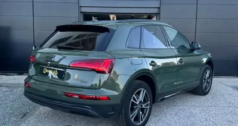 Used AUDI Q5 Hybrid 2021 Ad 