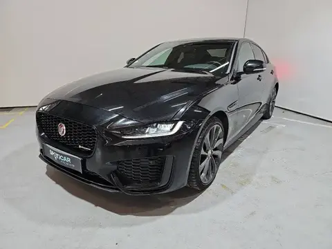 Used JAGUAR XE Diesel 2019 Ad 