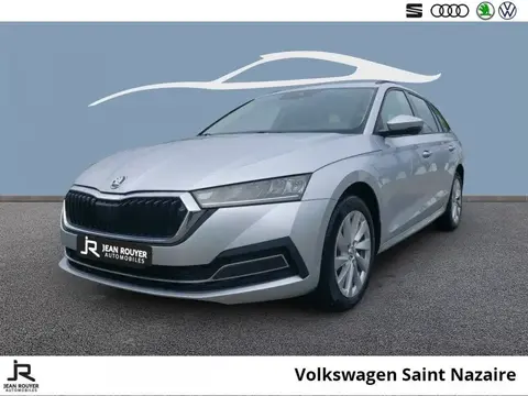 Used SKODA OCTAVIA Diesel 2023 Ad 