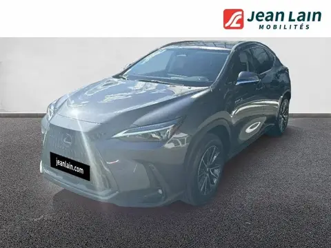 Used LEXUS CT Petrol 2024 Ad 