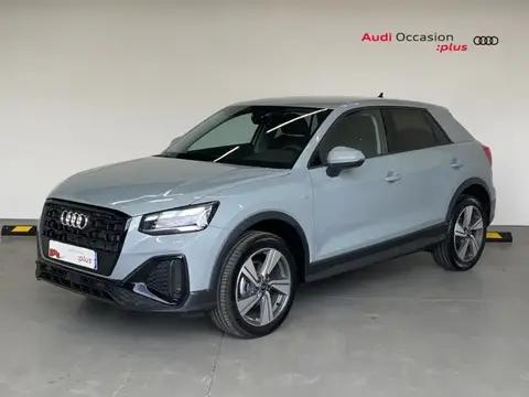 Annonce AUDI Q2 Essence 2024 d'occasion 